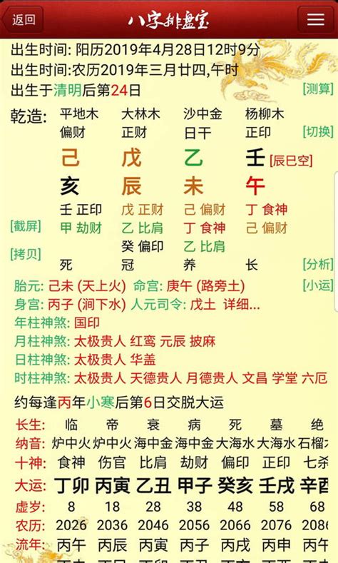 八字 排 盘|八字排盘